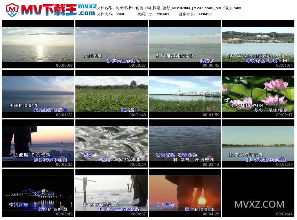阿汝汗-梦中的查干湖_国语_流行_MB107803